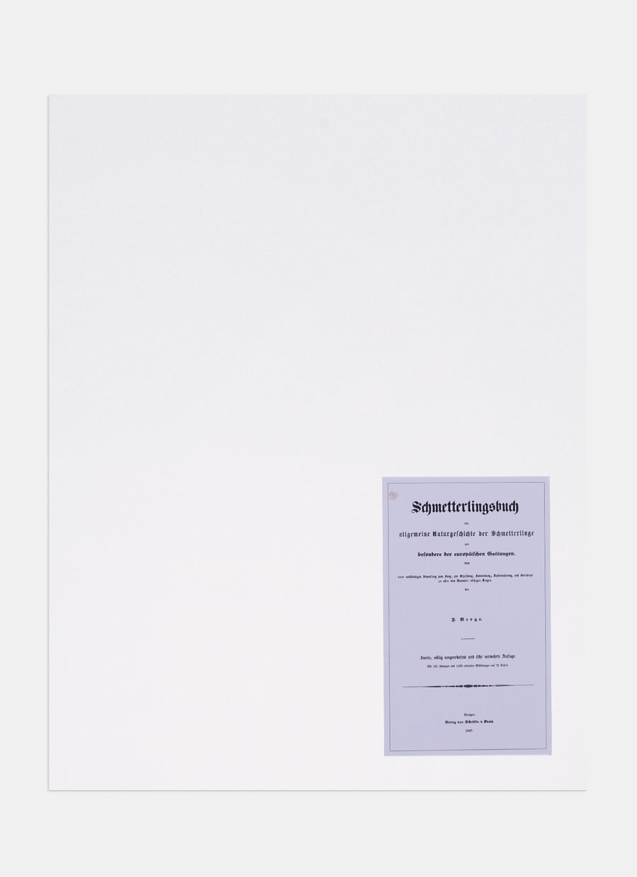 Repro Lithograph