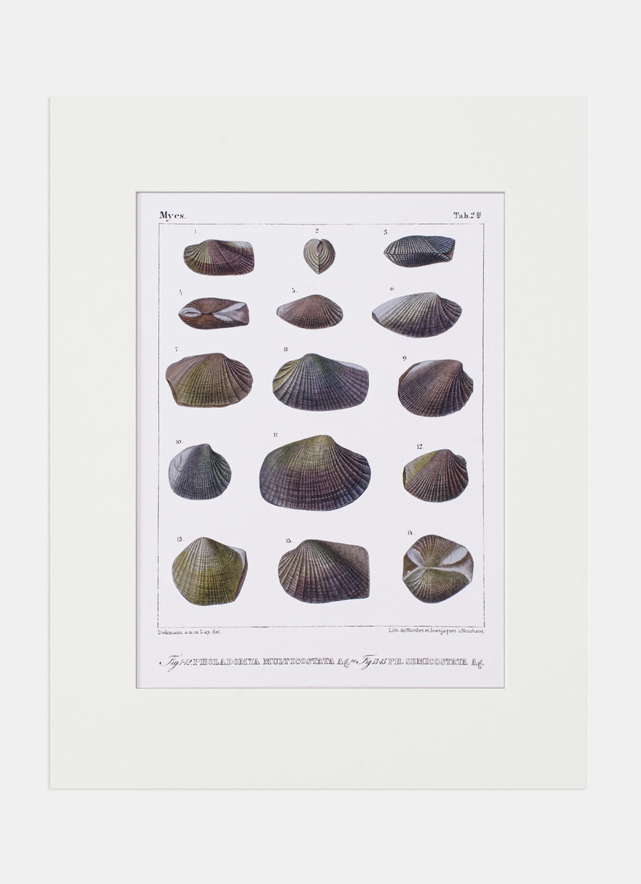 Repro Lithograph
