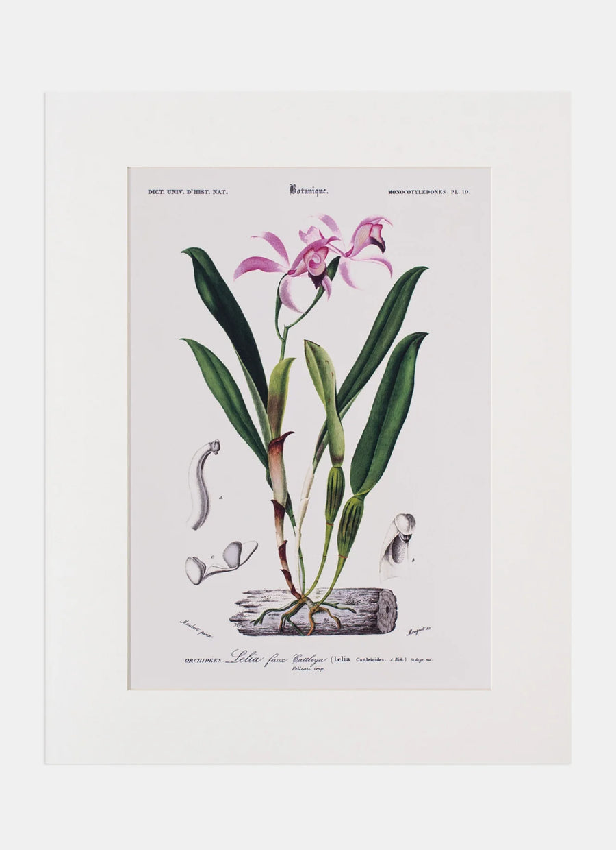 Repro Lithograph
