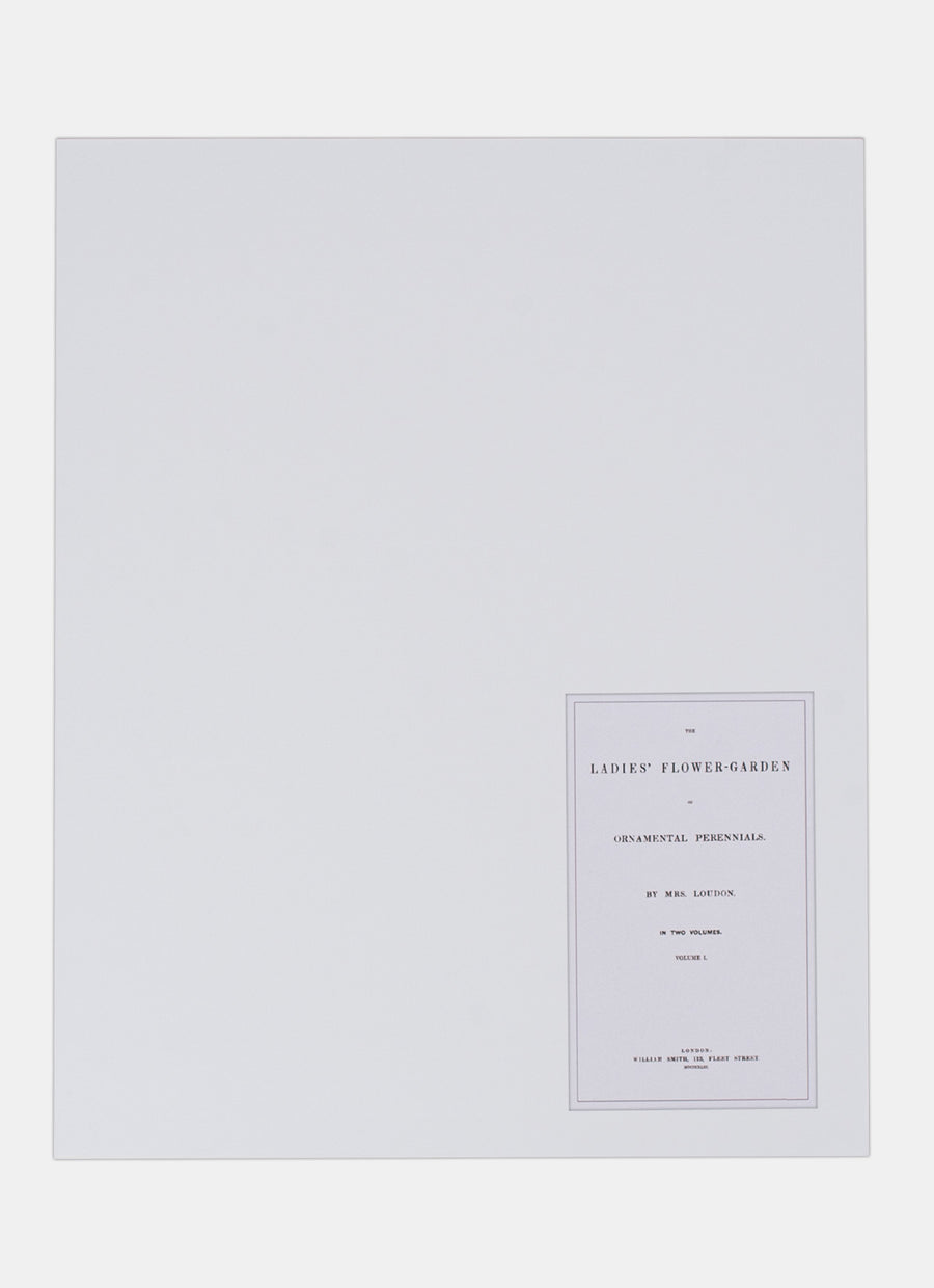 Repro Lithograph