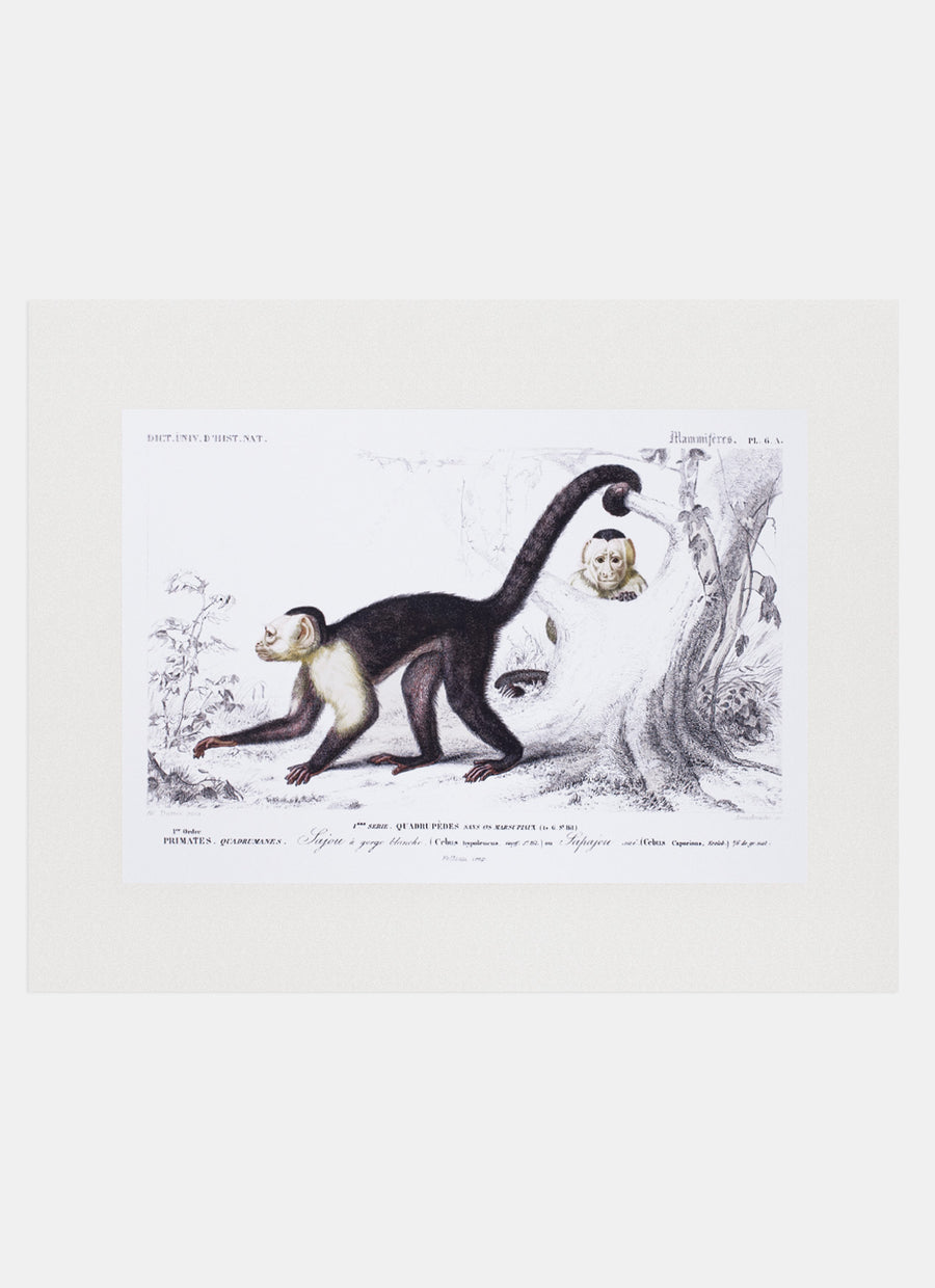 Repro Lithograph