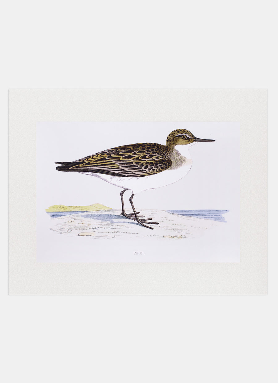 Repro Lithograph
