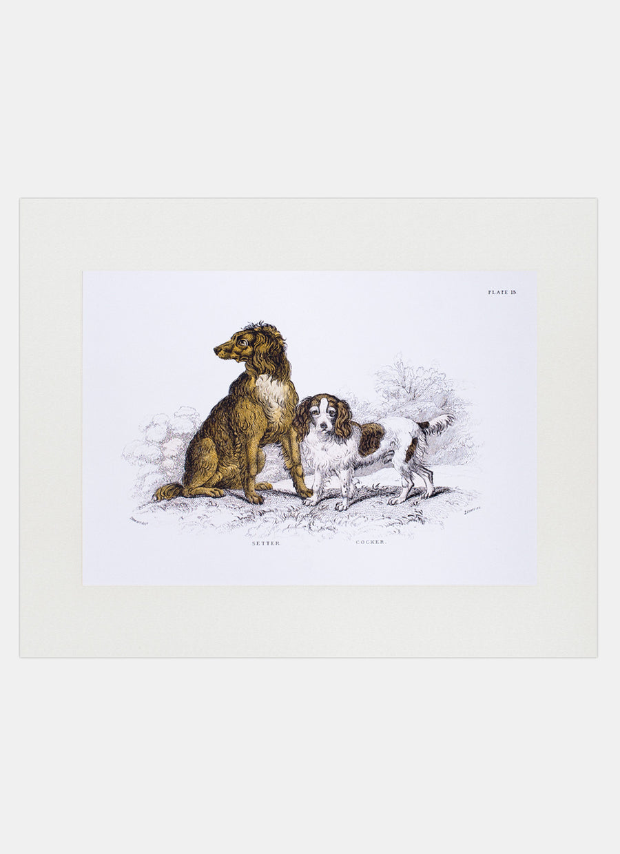 Repro Lithograph