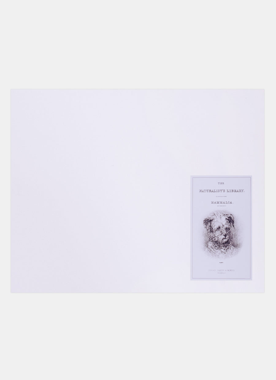 Repro Lithograph