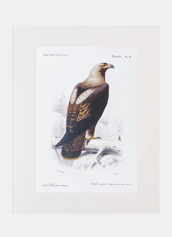 Repro Lithograph